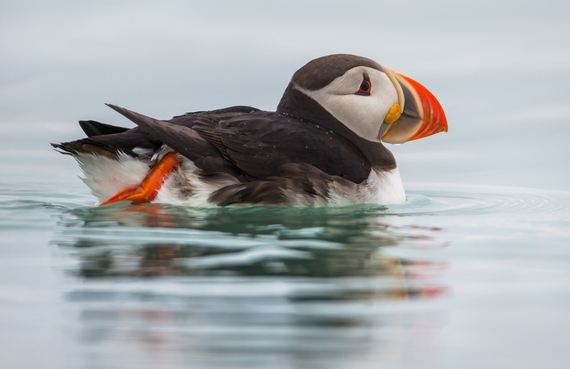 svalbard1