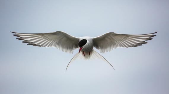 svalbard6