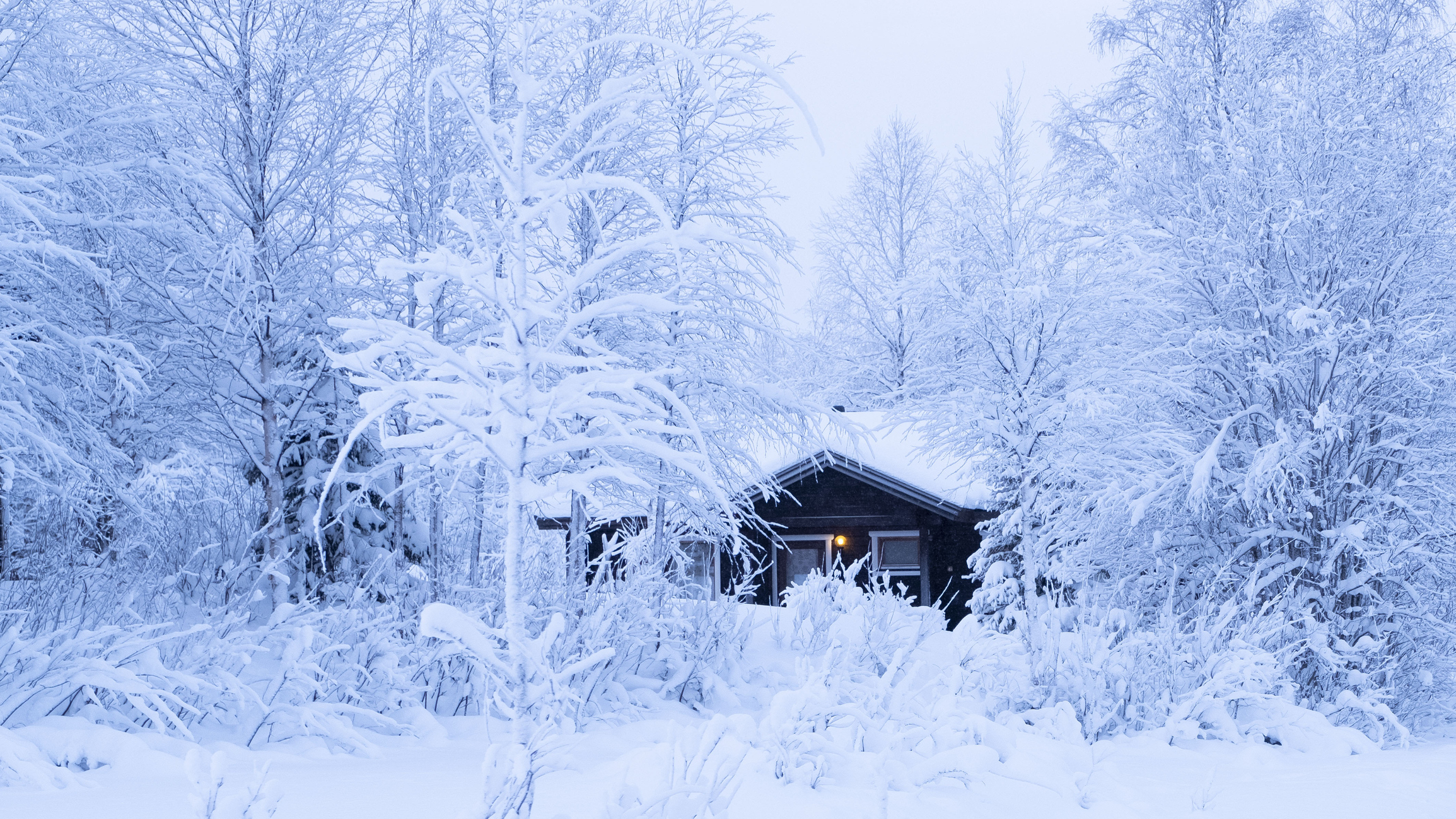 Snow-covered wooden house in the winter forest of Lapland. The Finland, snow covered trees, morning in the village.